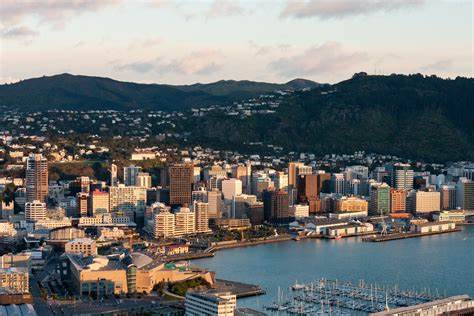 wellington